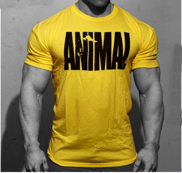 body fit t shirt