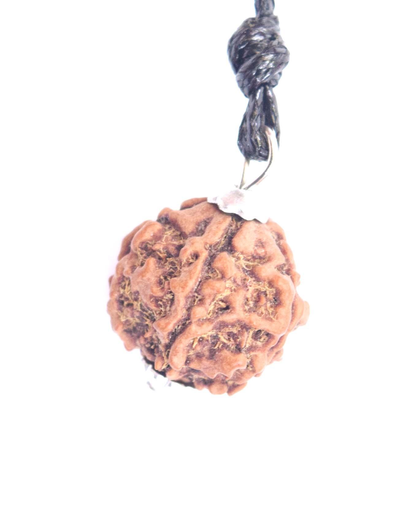 Casual Rudracharram Cord Chain - Brown