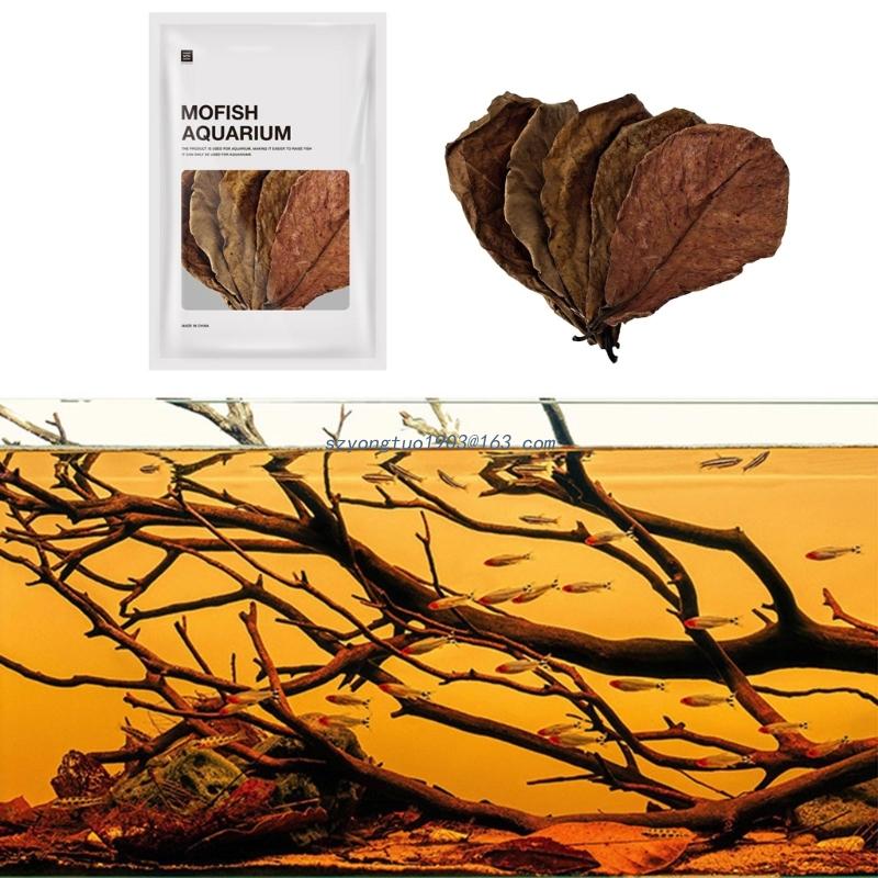 Betta Fish/Shrimp Leaves Indian Catappa Almonds Naturally Leaves for Fish Tanks Long Dried Leaf for Betta Breeding. 
