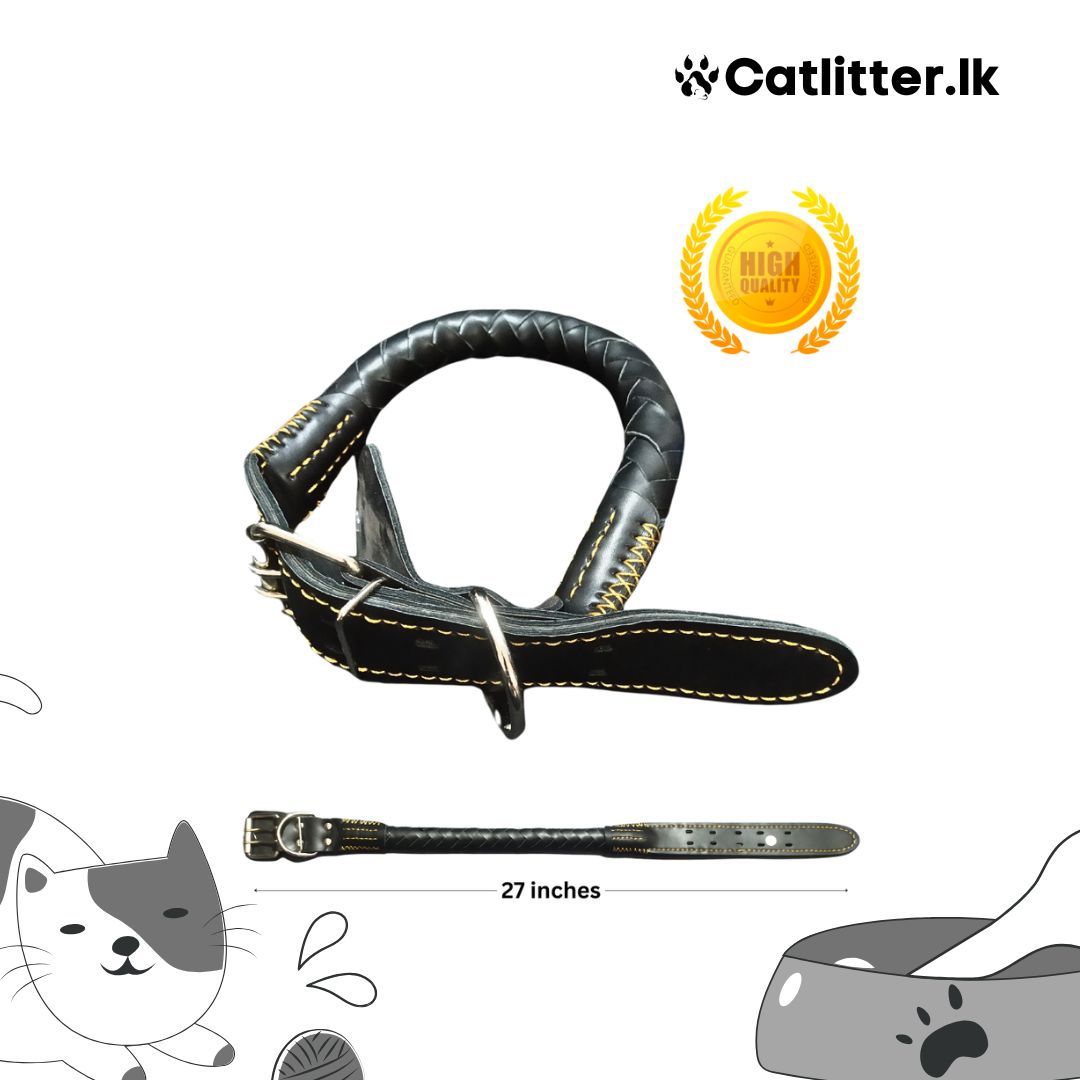 Pure Leather Dog Coller for Medium Dogs & Puppies (Adjustable)