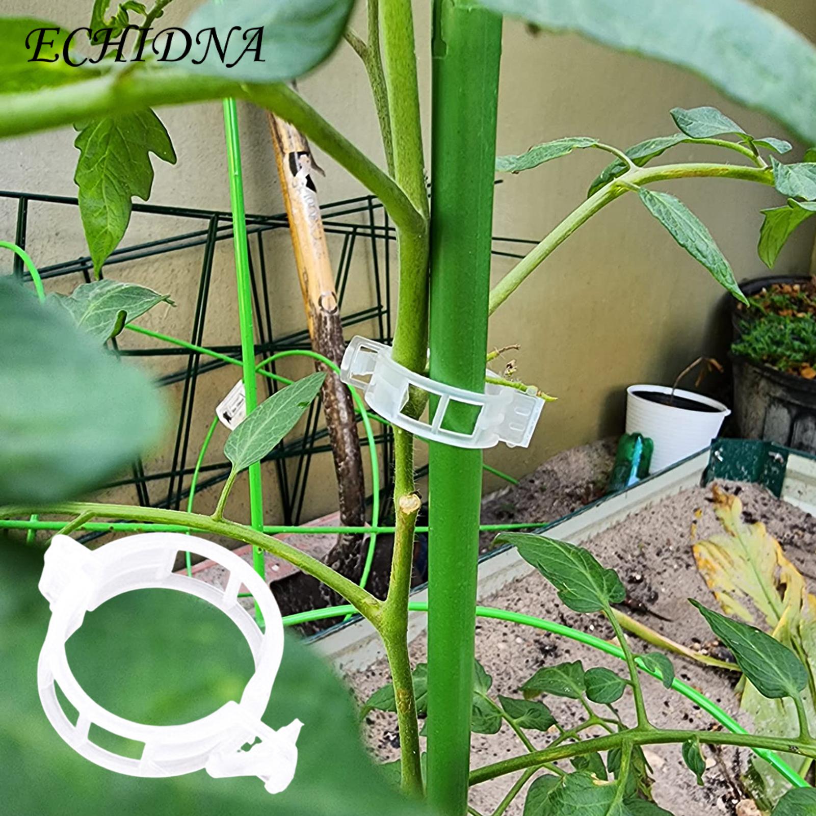 Cucumber Plant Clips 100/200pcs Plant Support Clips for Easy Tomato Vine Fastening Wide Application Garden Clips for Tomato Plant Clips. 