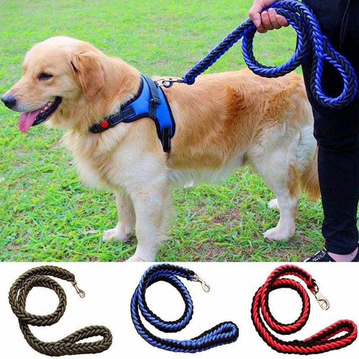 Nylon Braided Rope Pet Dog Leash for Medium Dog or Large Dog