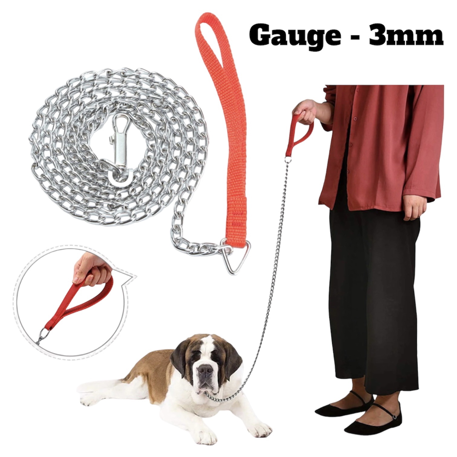 Metal hotsell dog leash