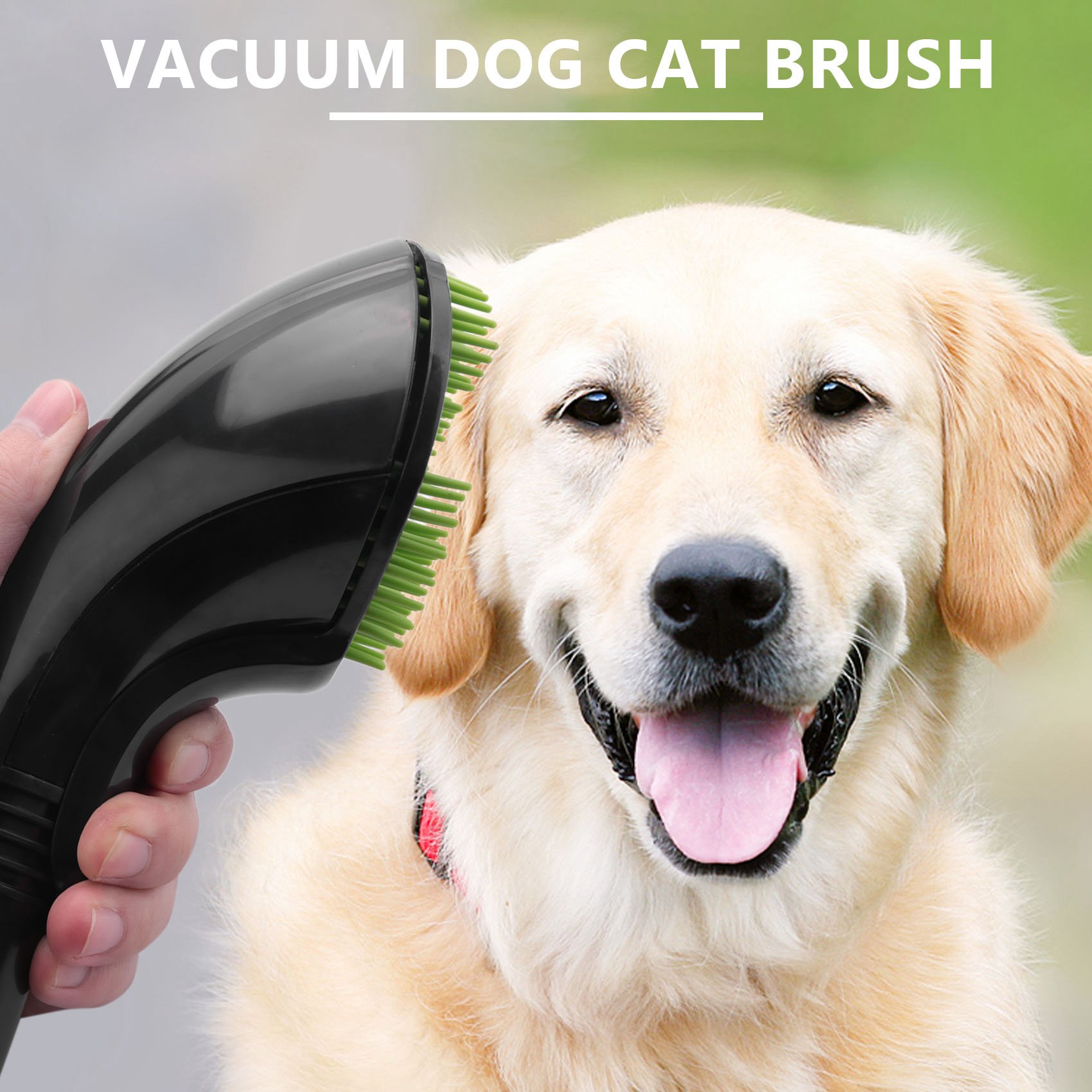 Cat brush outlet vacuum