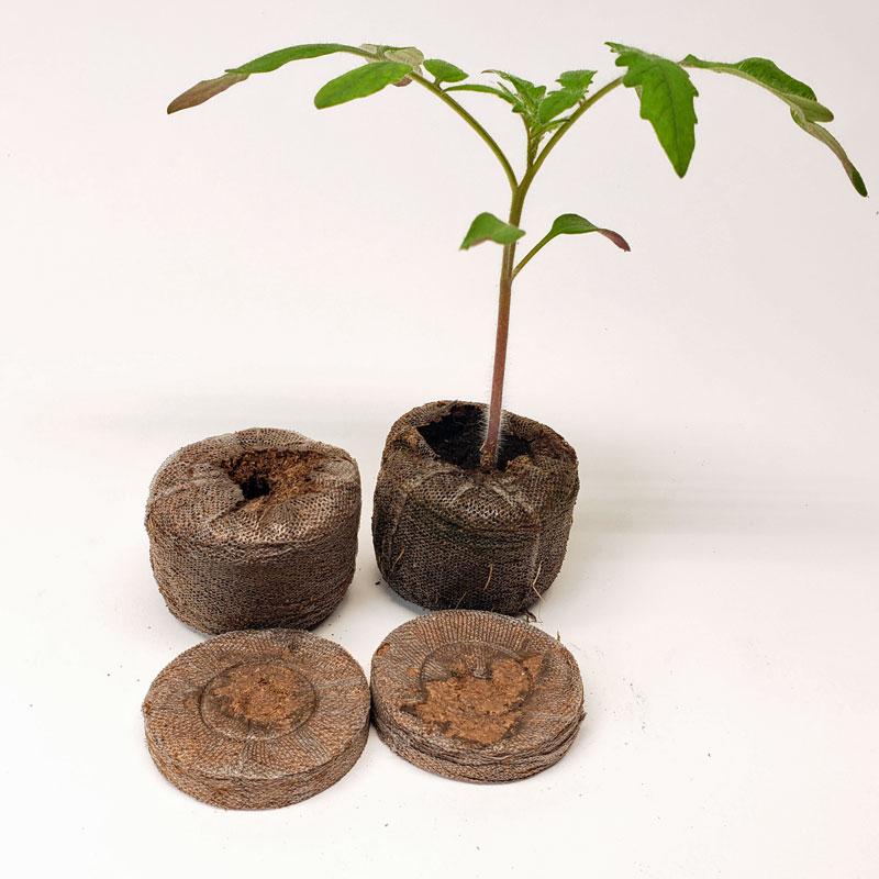 Coco Pellets/Coco Disc/Coco Plug 20pcs set Growing Medium Jiffy coco Peat (50mm) Seeds Planting Anthurium Flower. 