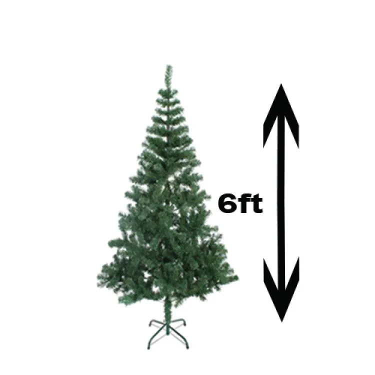Fraser Fir Tree (510ft) City Trees, 52 OFF