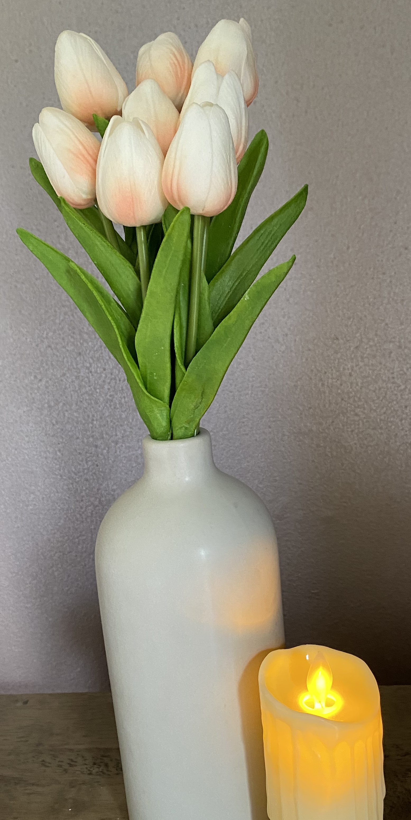Tulip Flowers. 