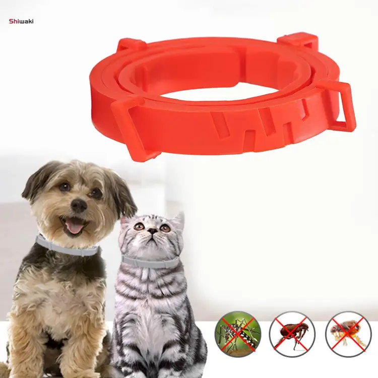 Outdoor cat collar hotsell