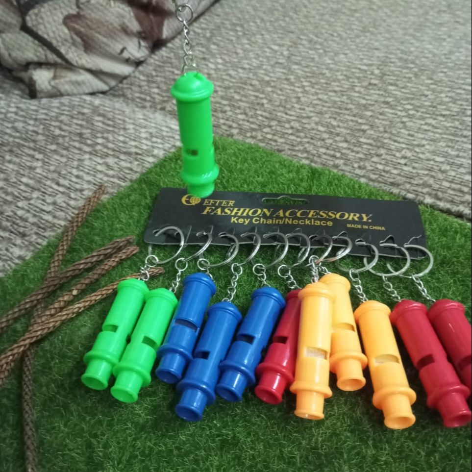 sound whistle keychain for kids.. 