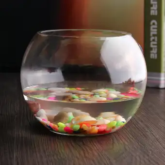 small bowl aquarium price