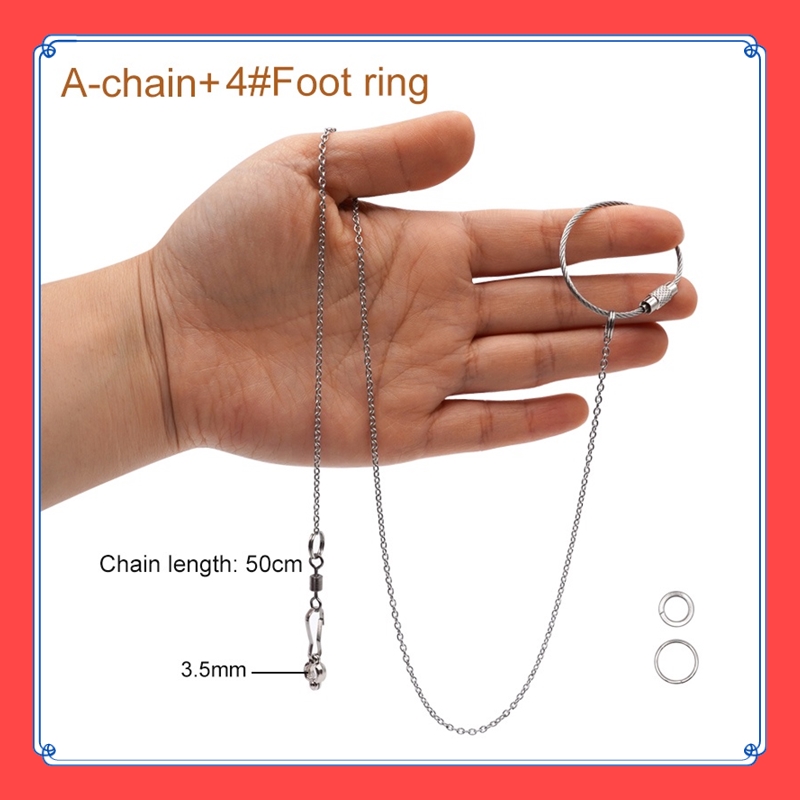 VibeVendor Parrot Stainless Steel Foot Ring Chain Opening Activity Ring for Lovebird Cockatiel Parakeet Bird Stand Anklet Bird Leg Rings. 