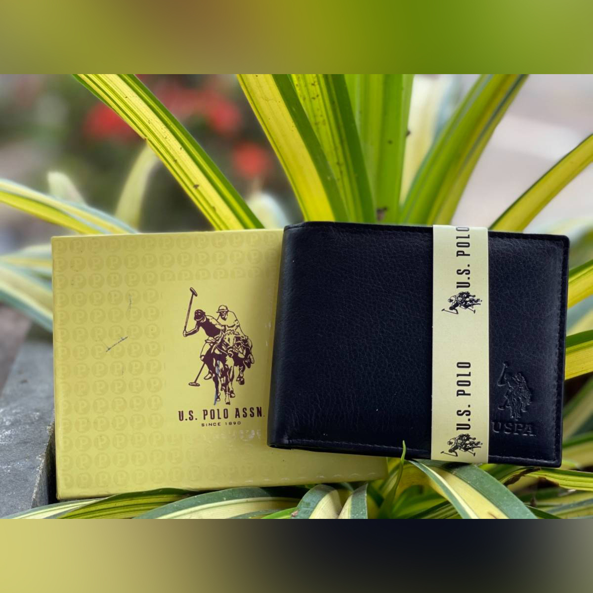 polo wallets online