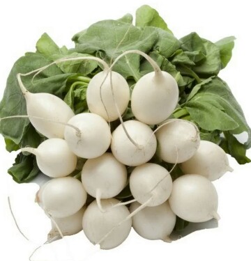 White Radish/Bola Raabu Seeds For Home Garden. 