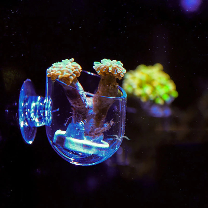 Aquarium Decor Hanging Fish Tank Mini Acrylic Pot Water Potted Planting Cup. 