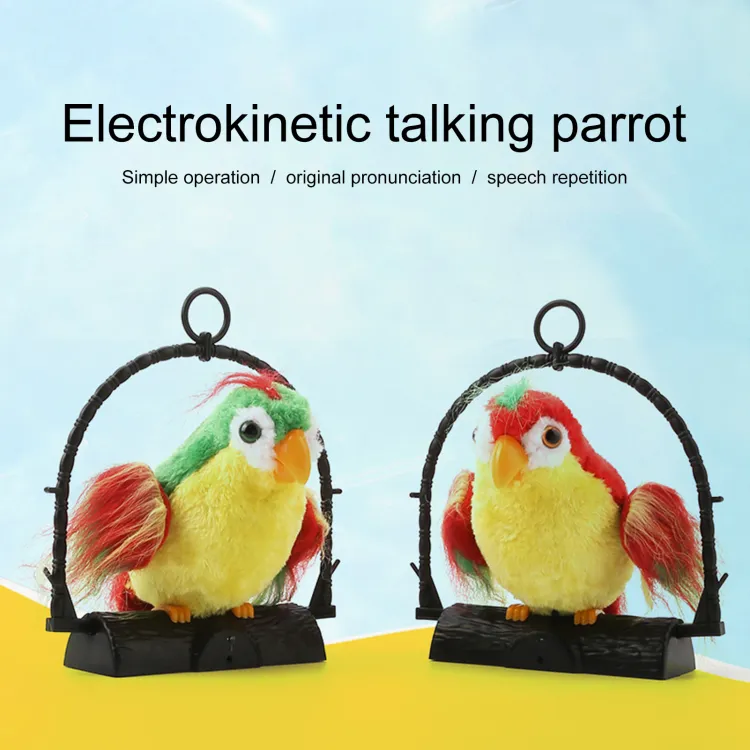 Recording store parrot toy