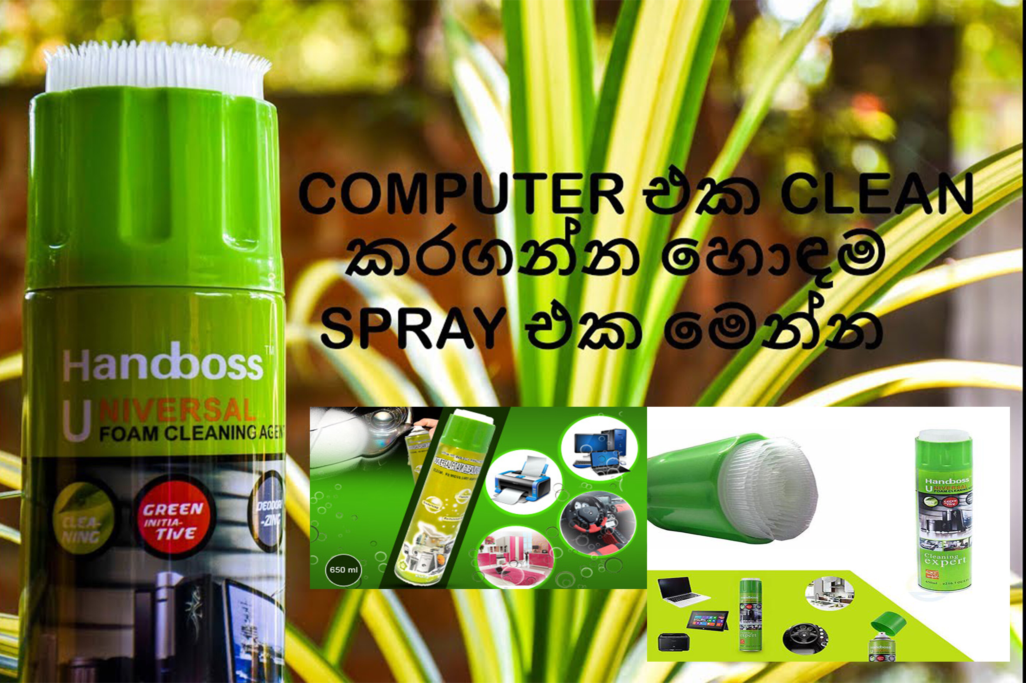 Sofa Cleaning Liquid Sri Lanka Baci Living Room