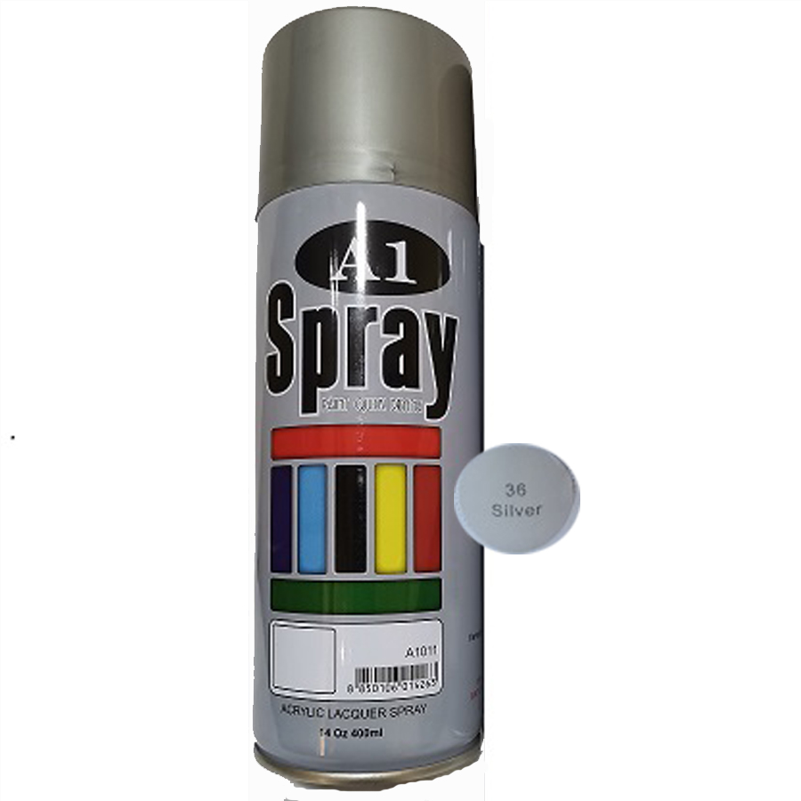 silver colour spray price