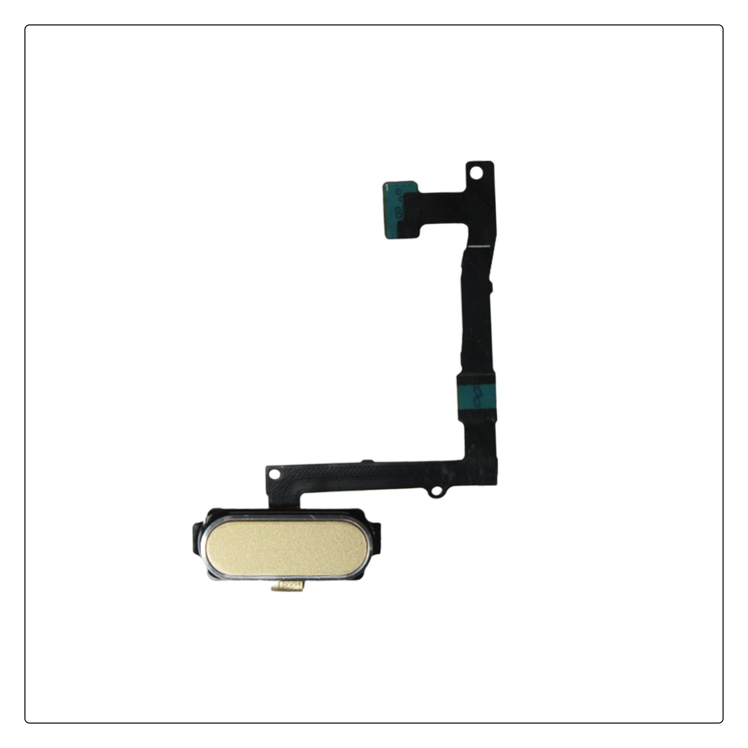 Samsung Galaxy S6 Edge Home Button Flex Blue Gold. 