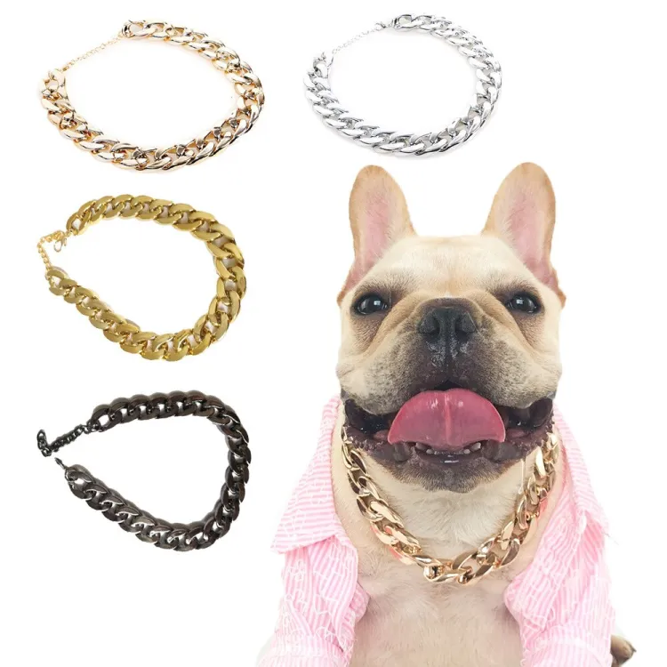 French bulldog 2024 chain collar