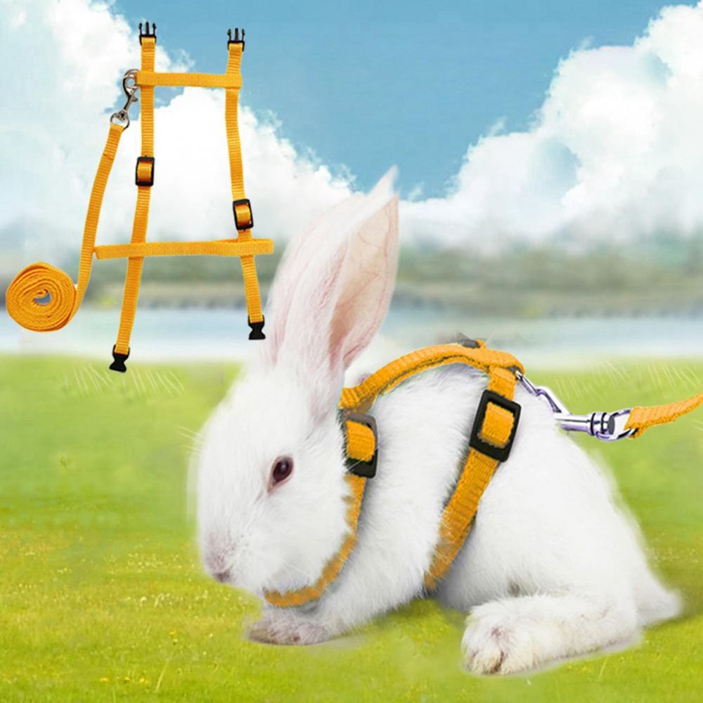 YORKI Soft Adjustable Harness Belt Guinea Pig for Running Walking Bunny Leads Pet Traction Small Pet Leads Rabbit Harness Leash. 