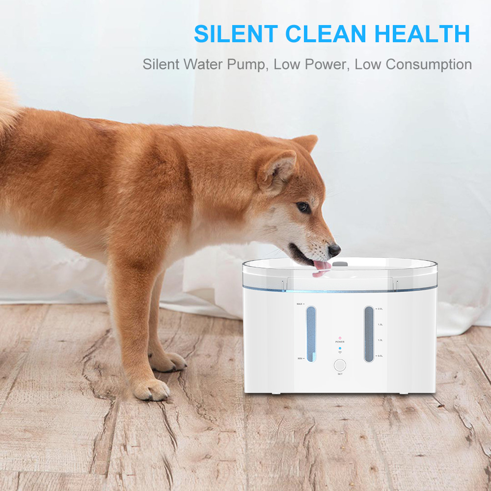 dog water filter system