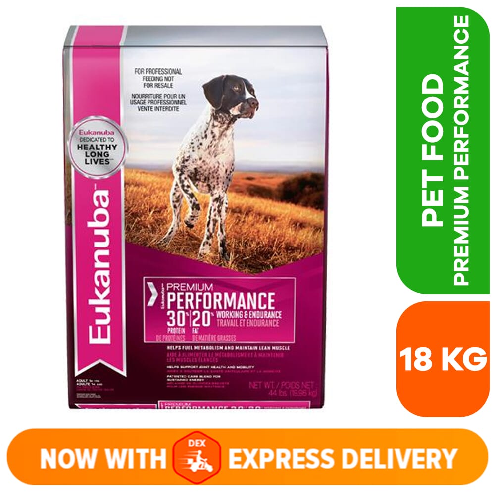 eukanuba premium performance