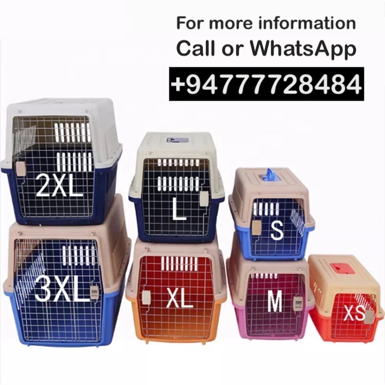 Small Pet IATA Approved Airline Travel Carrier Crate Pets Dog Cat Air Flight Box Checked Vet Visit Kennel Portable Foldable Breathable High Quality ABS PP Plastic Material Car Case Dogs Cats Medium Chrome Door Food Water Cup. 