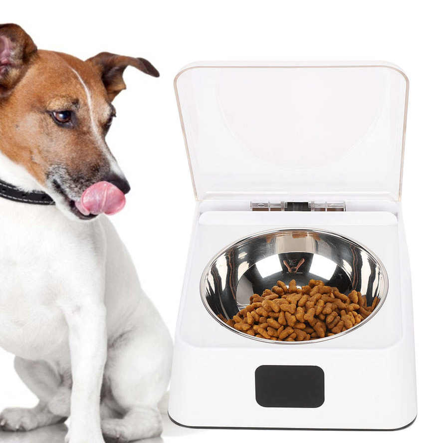 mouse proof dog bowl