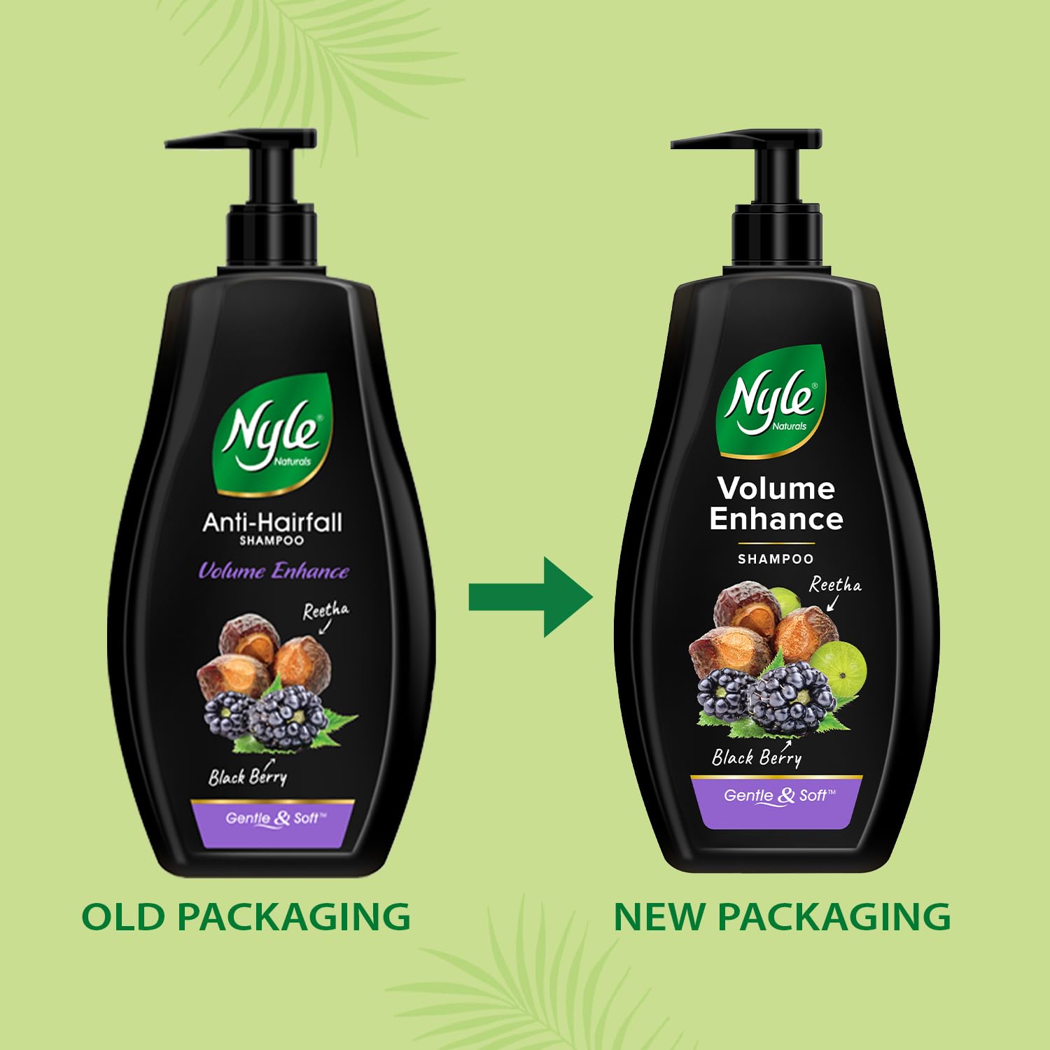 Nyle Naturals Volume Enhance Shampoo, With Blackberry, Reetha and Amla, Gentle & Soft Shampoo, PH Balance and Paraben Free, For Men and Women, 800ml SAM. 