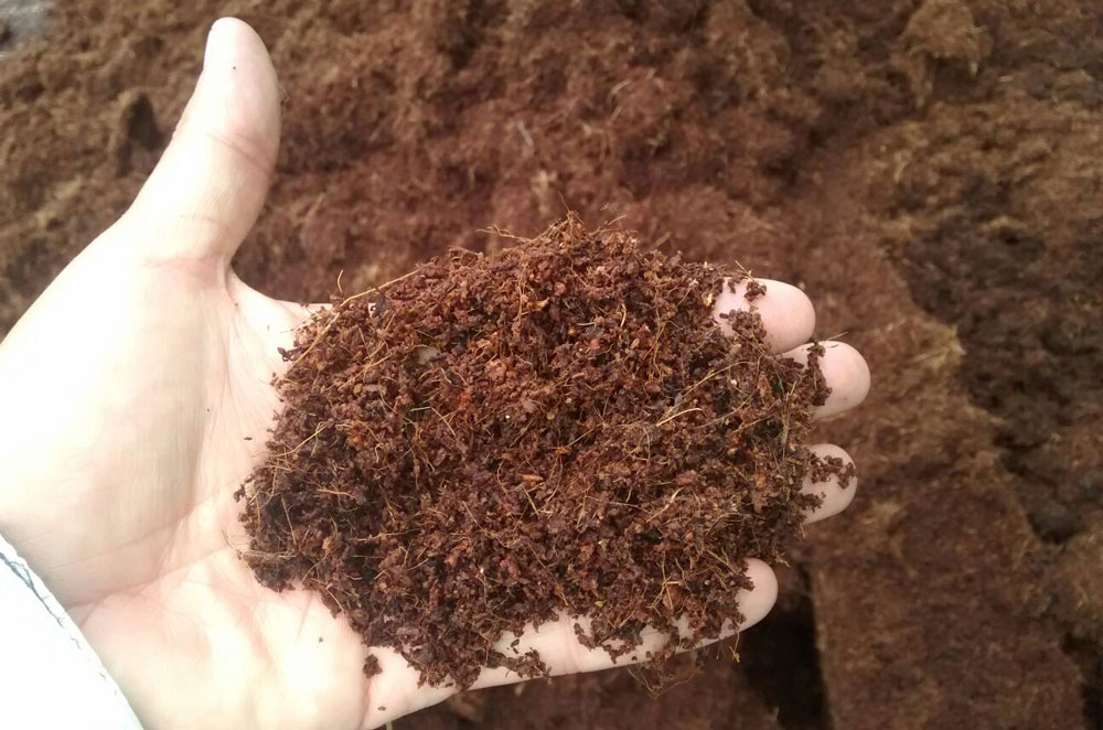 coco peat 5kg bag. 