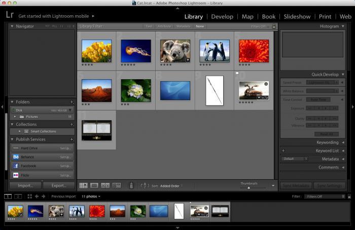Adobe Photoshop Lightroom Classic CC 2019 [macOS]. 