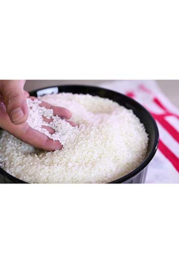 NOTTACIA Japanese Sushi Rice, 500g (FROM INDIA)SAB. 