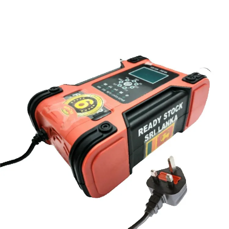 FOXSUR 12V 24V 12A Lead Acid Full Automatic Pulse Repair Car