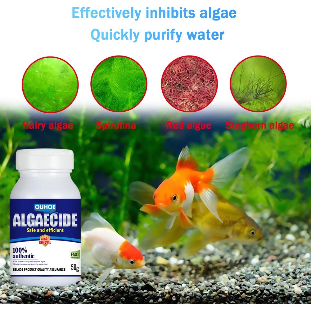 50g Aquarium Algaecide Algae Control Moss Remover for Pond Fish Tank. 