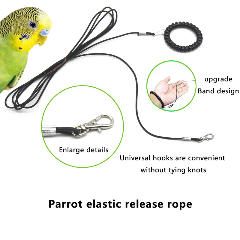 1 PC Multiple Length Options Ultralight Parrot Release Rope Bird Foot Chain Portable Not Hurt Feet Bird Training Rope Bird Outdoor Flying Rope Tool Alloy Foot Ring Pet Bird Harness Pigeon Strap. 