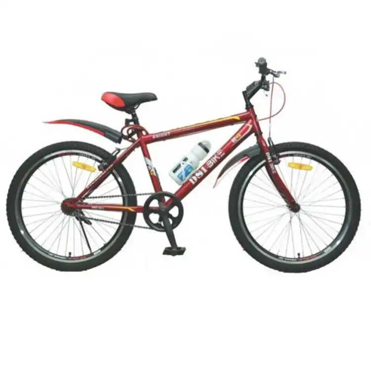 DSI 24 Inch 21 Speed Bicycle