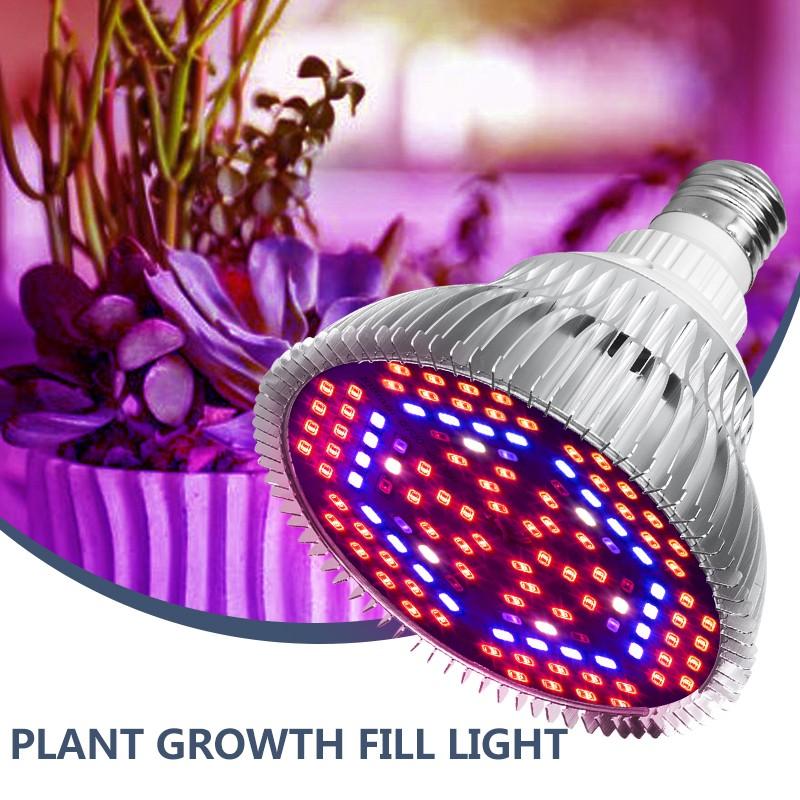 4 Pieces Led Plant Lamp 10w E27 Grow Light, Full Spectrum Light Lamp ...