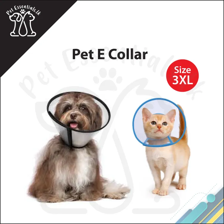 Buy e clearance collar