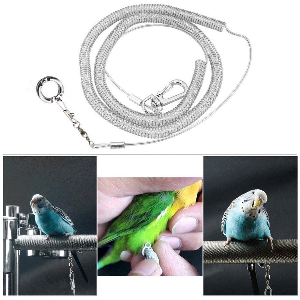 Birds belt sale