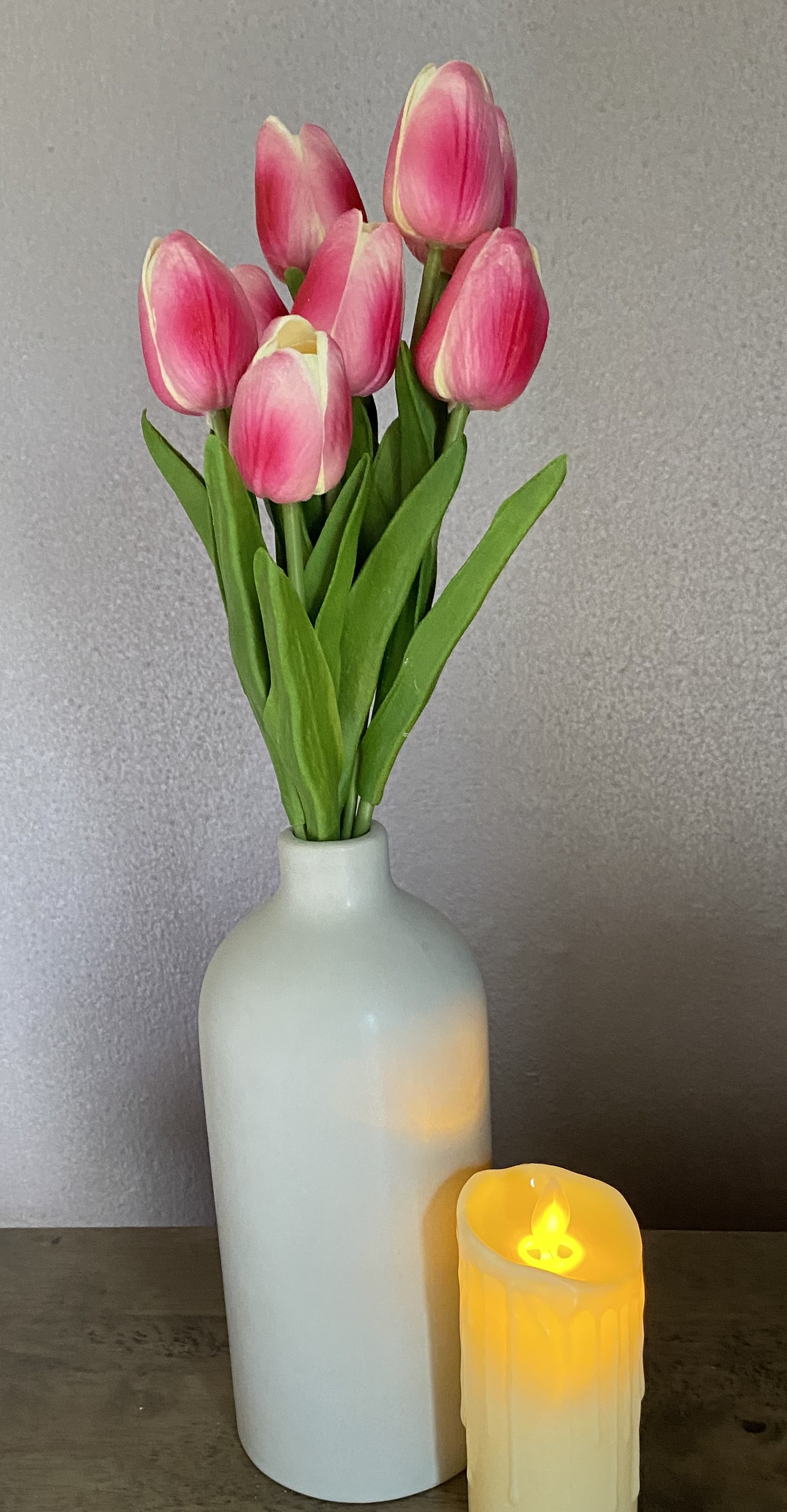 Tulip Flowers. 