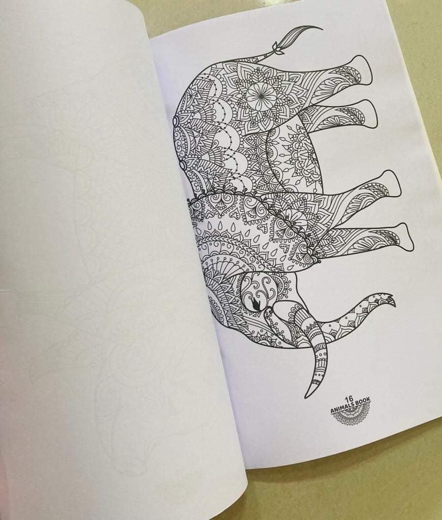Mandala Coloring Books for Kids & Adults. 