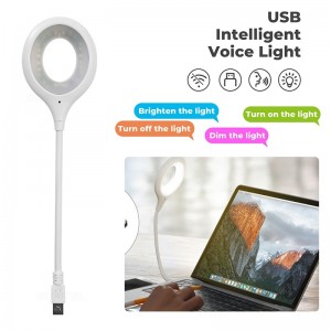 Smart intelligent Voice Light Control USB Night Light for Bedroom. 