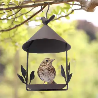 Hanging Bird Feeder Parrot Iron Wild Seed Outdoor Birdfeeders Buy