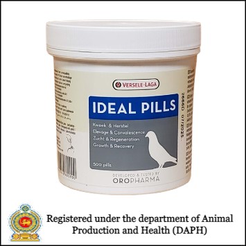 Oropharma Versele-laga Ideal Pills (500 Pills). 