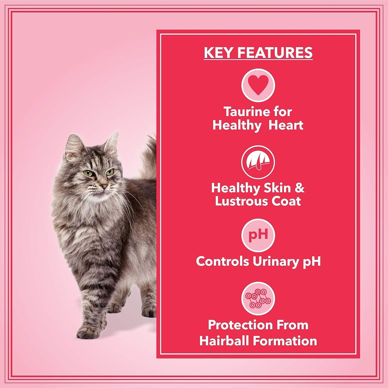 Let's Bite Active cat Food for Adults (400G X 4 Packs). 