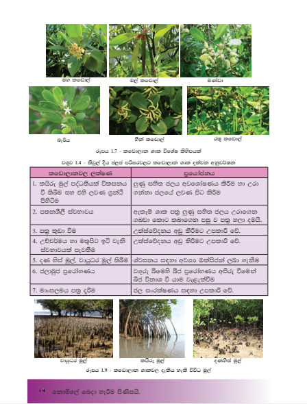 Grade 10 Aquatic Bioresources Technology textbook | Sinhala Medium – New Syllabus. 