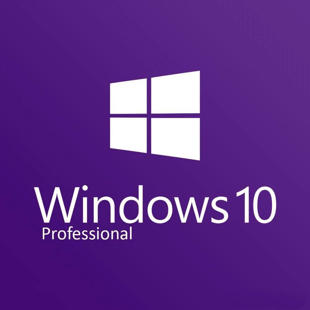 Windows 10 Professional (Pre-Activated) bootable DVD. 