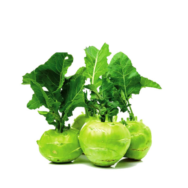 Beans, Cabbage, Leeks , nocall , Beet Root, Capsicum, Green Chilli Seeds 100% high quality seeds for home gardening...... 