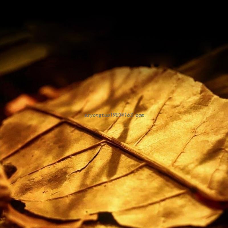 Betta Fish/Shrimp Leaves Indian Catappa Almonds Naturally Leaves for Fish Tanks Long Dried Leaf for Betta Breeding. 