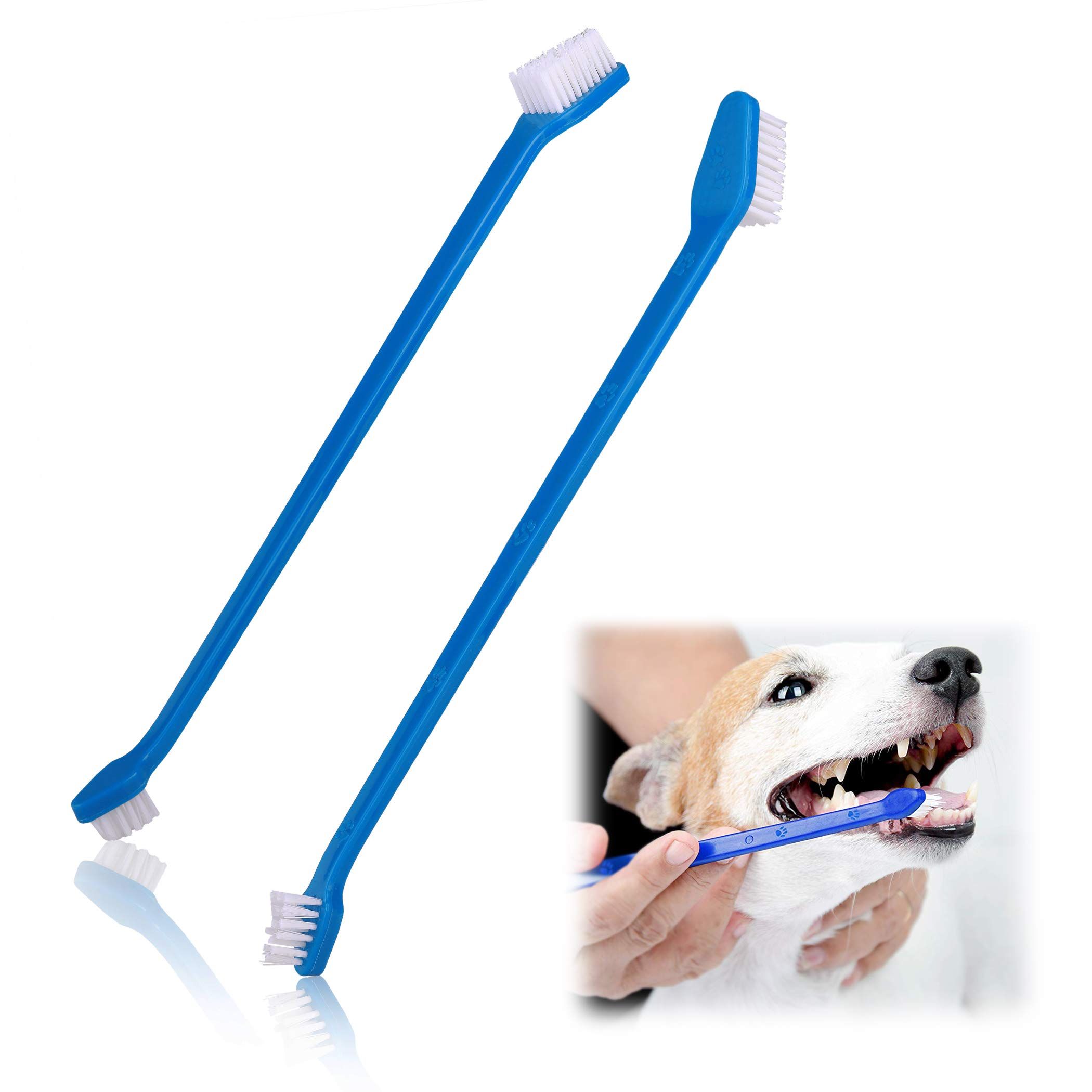 Bristly dog best sale toothbrush reviews